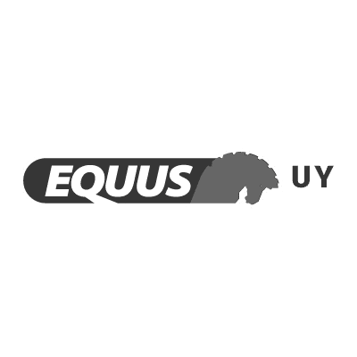 Equus Uruguay